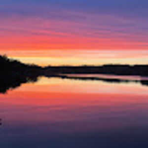 Meet your Posher, Jake